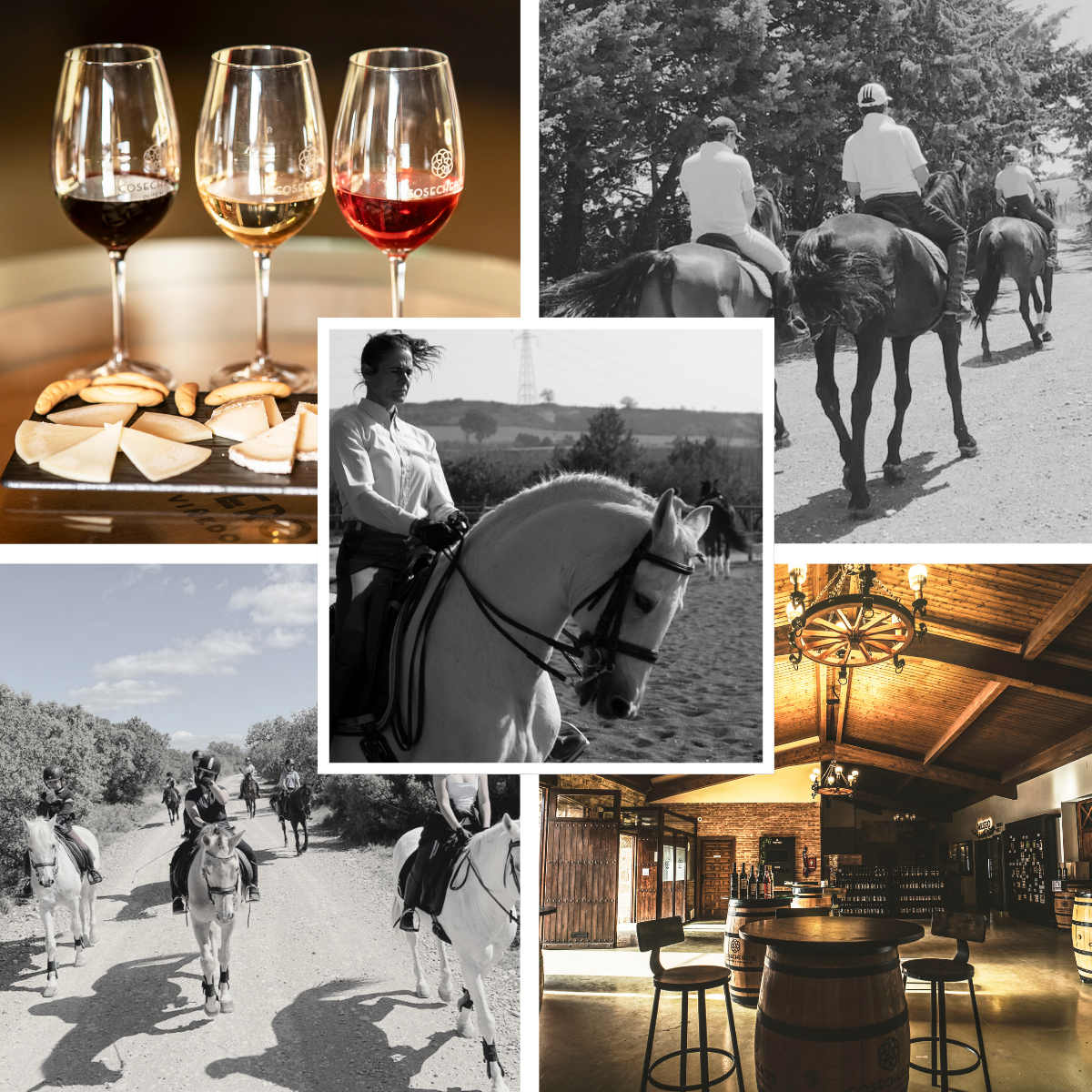 Paseo a caballo y cata en bodega cosecheros de Olite