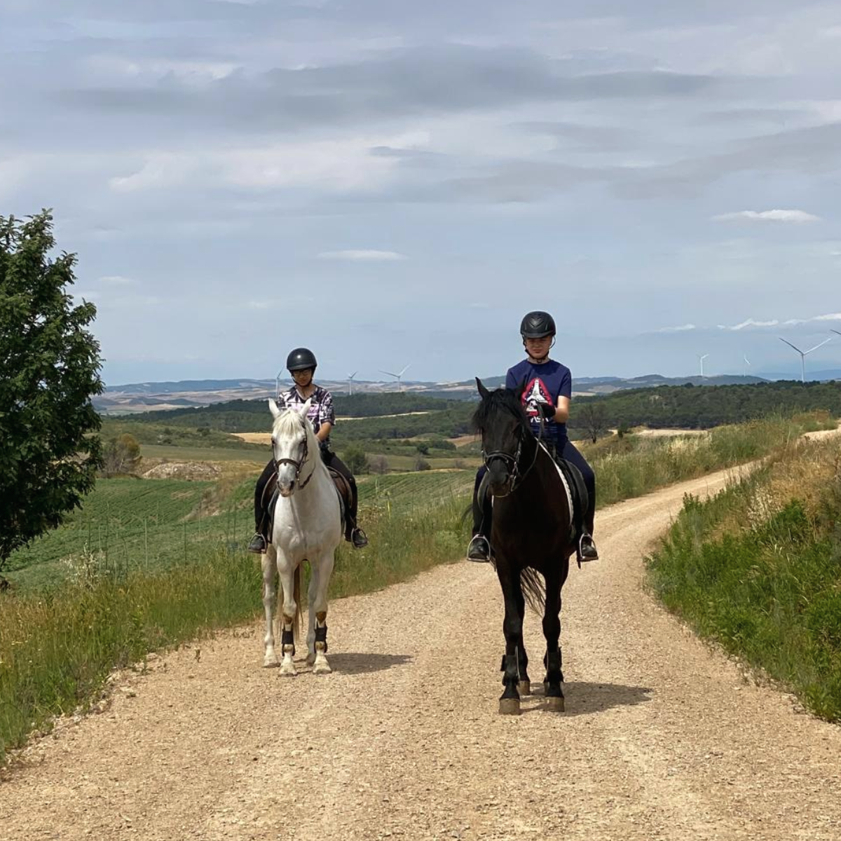 Paseo a caballo y cata en bodega cosecheros de Olite
