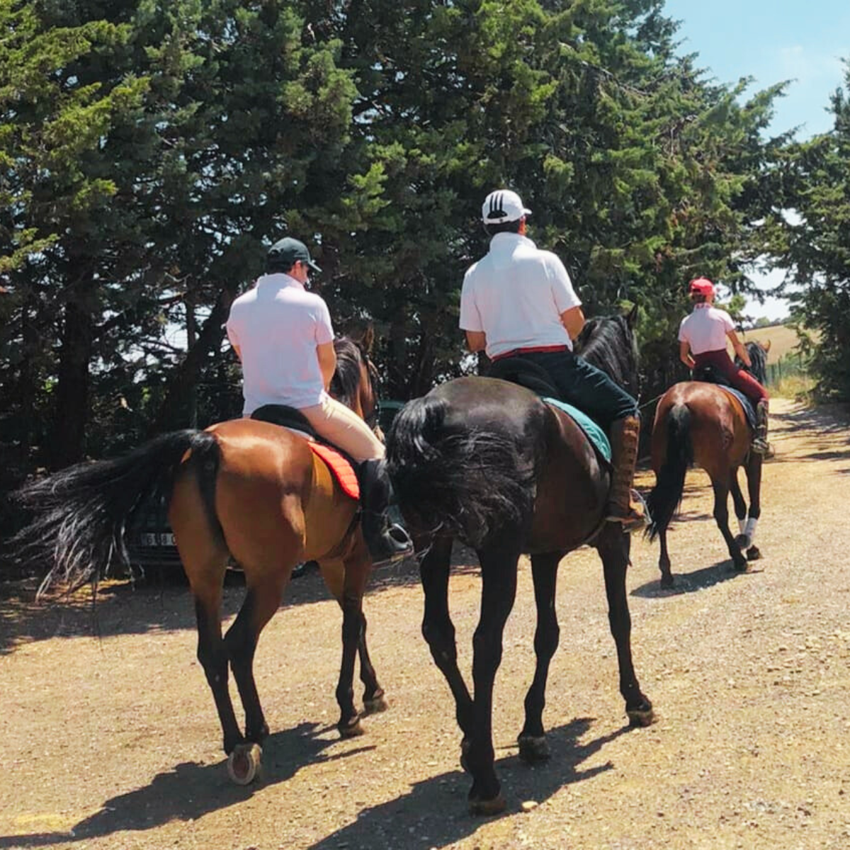 Paseo a caballo y cata en bodega cosecheros de Olite