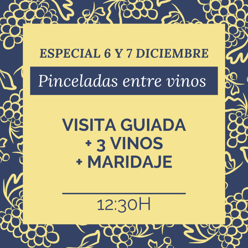 Pinceladas entre vinos premium